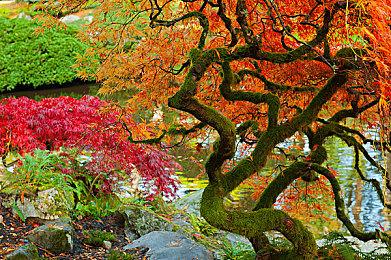 《红色沙漠》更多细节信息曝光：80小时纯粹单人游戏体验 明年发售